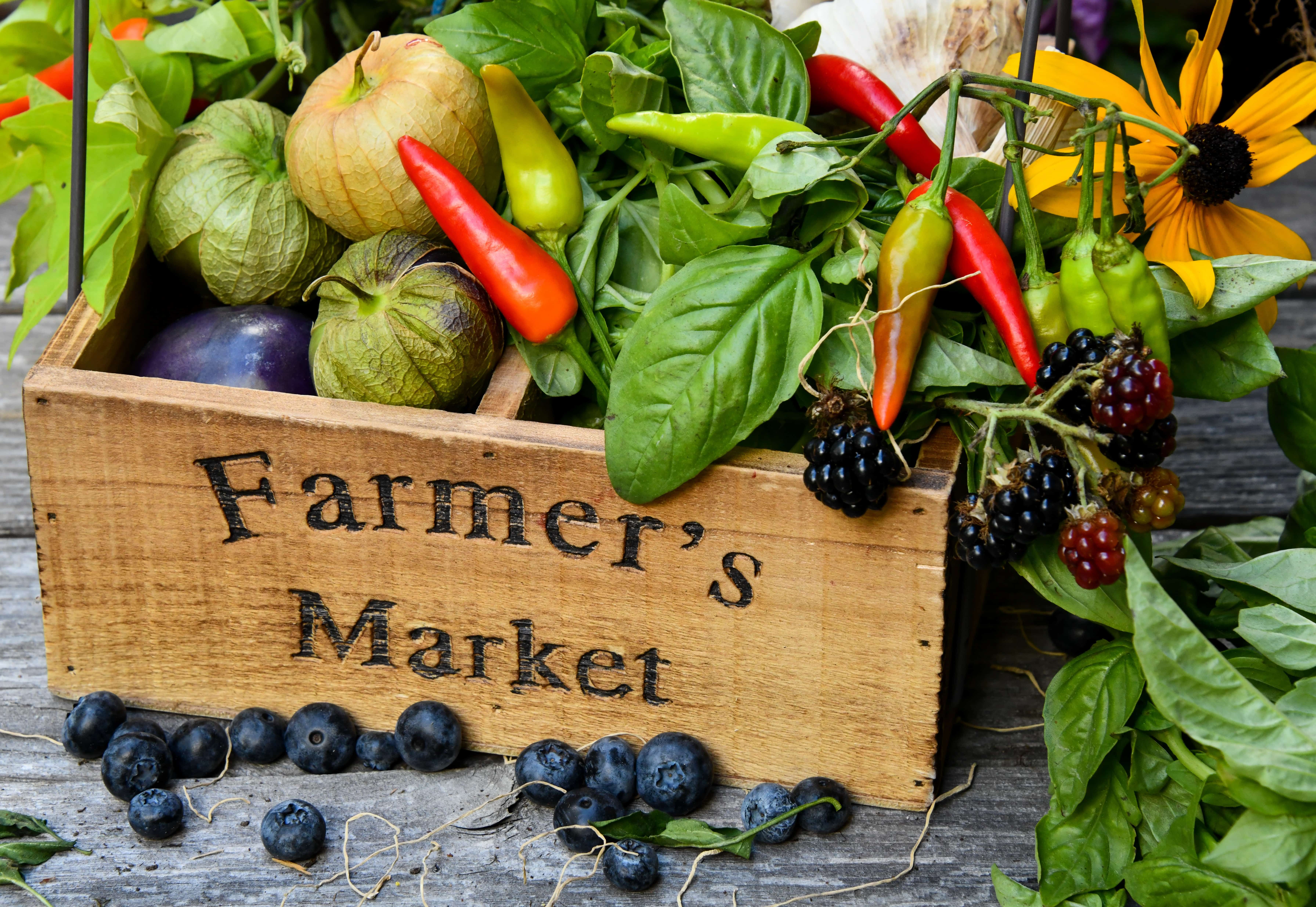 Farmers Market - SBDCNet