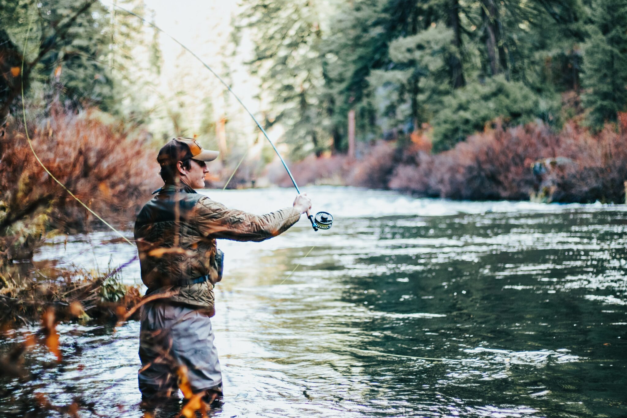 Wildlife & Game & Hunting Links | SBDCNet