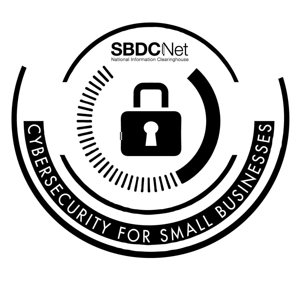 Cybersecurity & Government Contracting